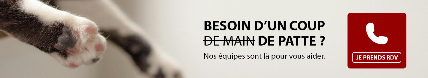 Besoin d'un coup de patte ?