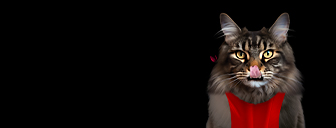 image de la promo