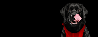 image de la promo