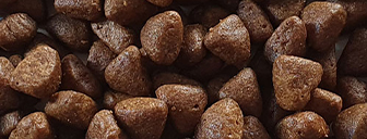 Croquettes