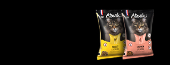 image de la promo